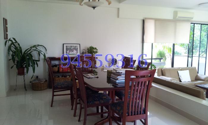 Mandarin Gardens (D15), Condominium #62376652